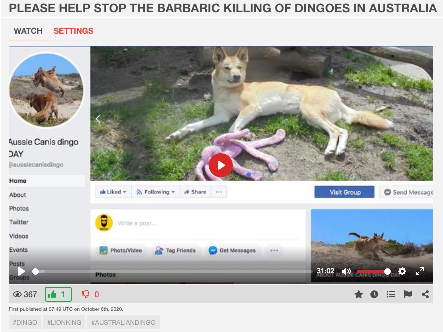 Save the Australian Dingo